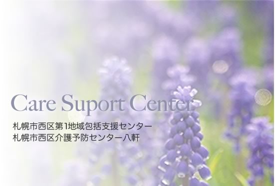 Care Suport Center